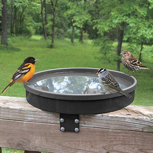 Songbird 3-in-1 Heated All-Season Birdbath